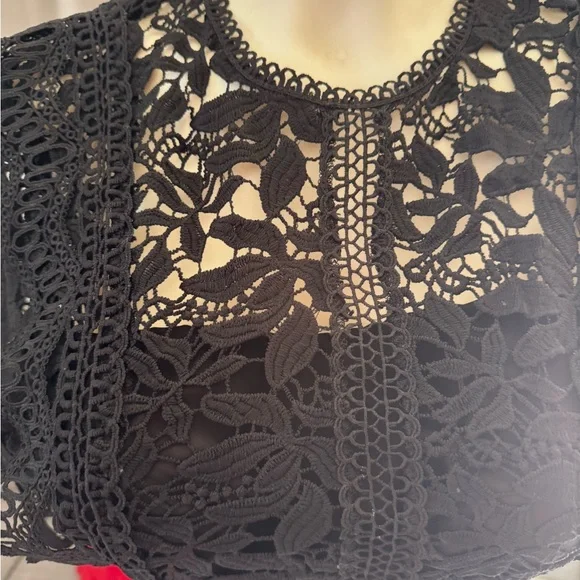 Elegant Black Lace Crop Top - Picture 7 of 7